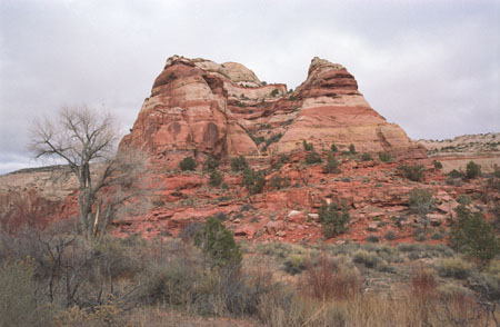 Bryce_2002_R10_31