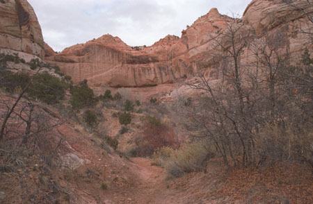 Bryce_2002_R11_01