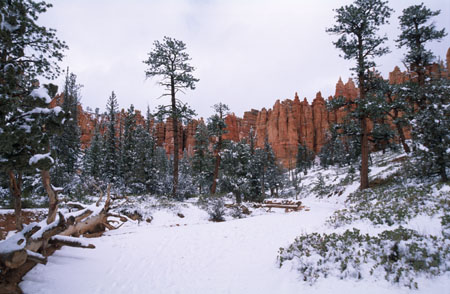 Bryce_2002_R13_02