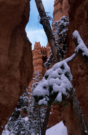 Bryce_2002_R13_27