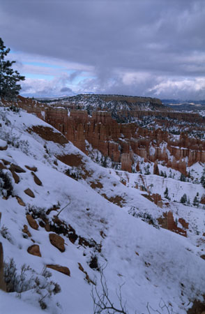 Bryce_2002_R13_31