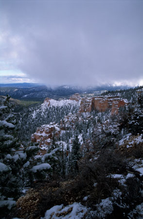 Bryce_2002_R14_02