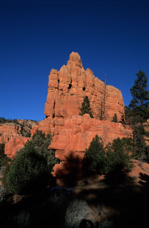 Bryce_2002_R6_03