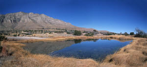 Pond near Frijole Ranch