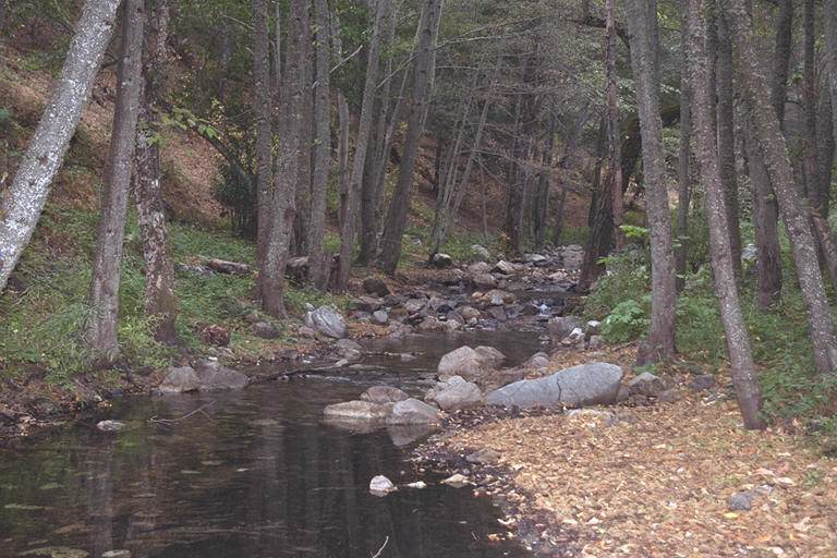 Naciemento Creek